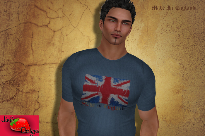 The Who Mens T Shirt