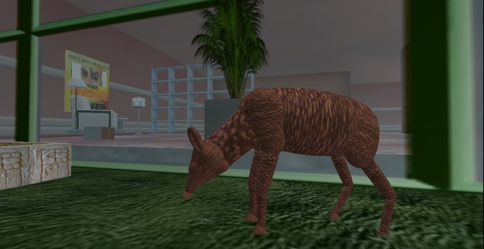 ~FT~ deer feeding (resell item)