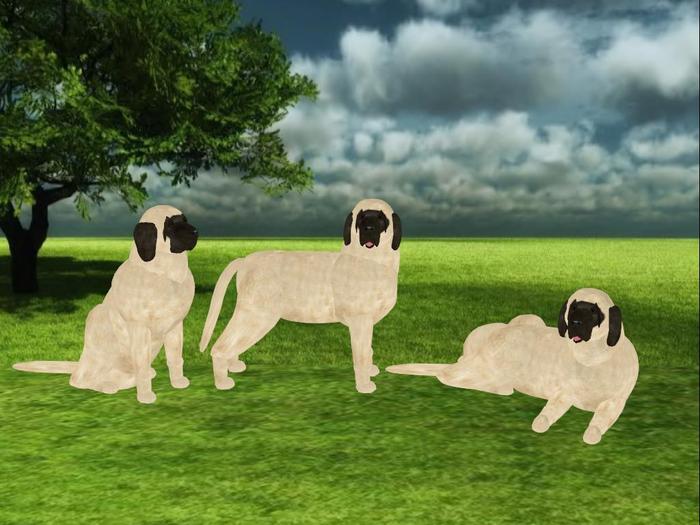 Mastiff Scripted and Animated Dog
