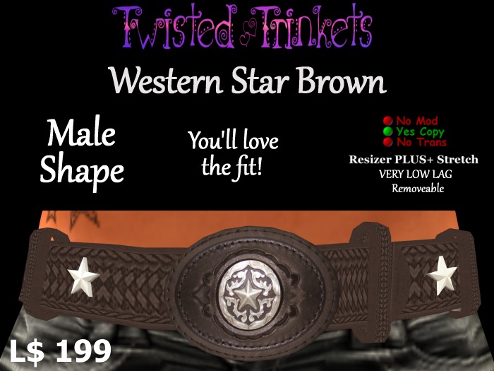 Western Star Brown Belt (male)
