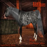 *BAM* Pony W.H.M (boxed)