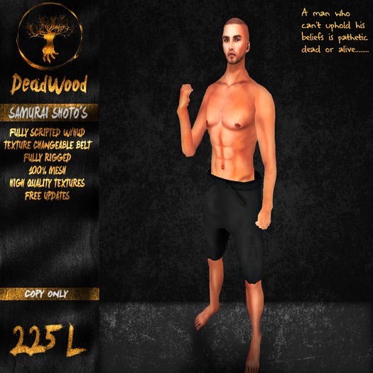 [DeadWood] Samurai Shoto's