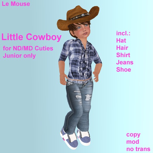 Little Cowboy Dress for ND/MD Cuties