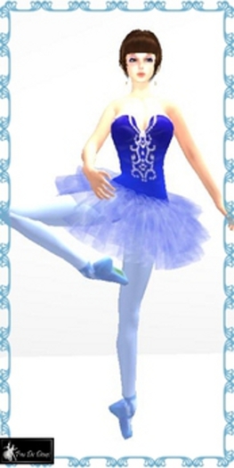 *PDD* Ballet Set Blue* 10L$