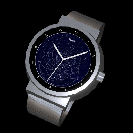 Astronomical Watch (Man Silver)