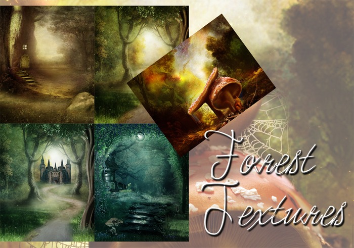 Forest Textures