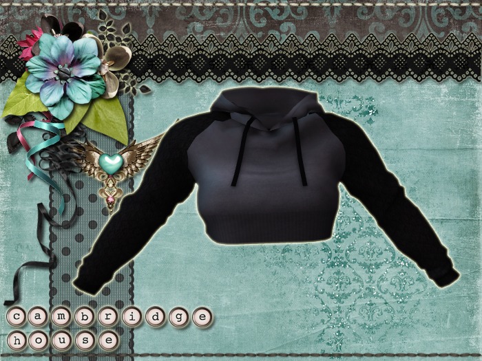 ★★100% Mesh Best Selling!!!★★Cropped Hoodie aq2