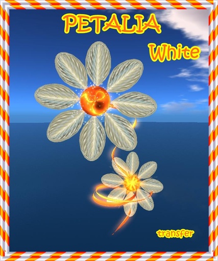BIG FLOWER  WHITE PETALIA