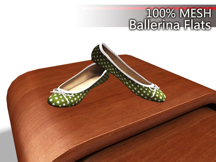 100% Mesh Ballerina Flats bg1.2