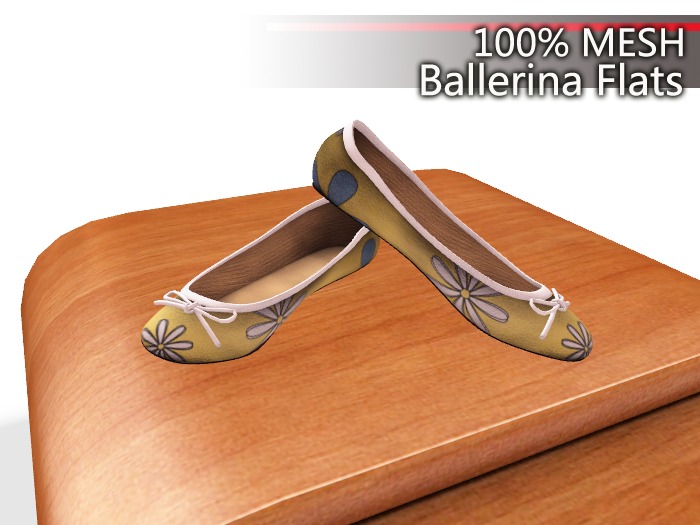 100% Mesh Ballerina Flats bg3.2