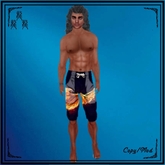 Eagle07_Surfer_shorts-Dragons'