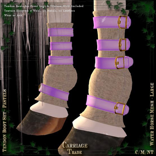 @CT@ Tendon Boots WHML Set (Boxed) 