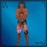 Eagle08_Surfer_shorts-Dragons'