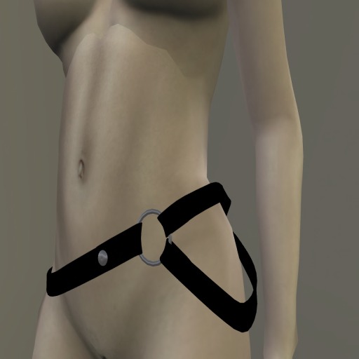 Double Belt package  1.0 (Boxed)