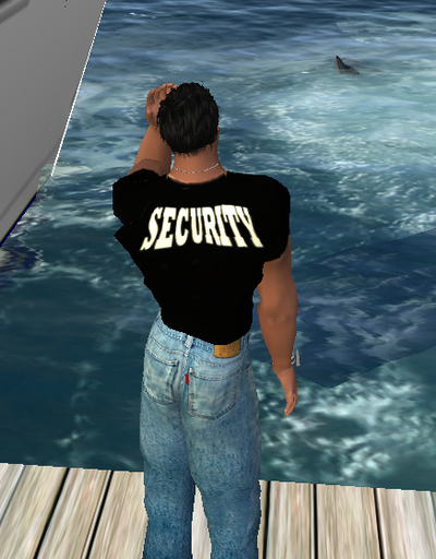 Security T-shirt
