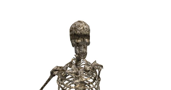 Mesh Skeleton Avatar