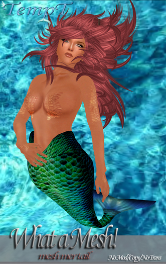 TempT~What a Mesh! Mertail