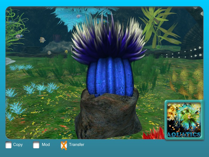 Anemone Flexi Deep Blue