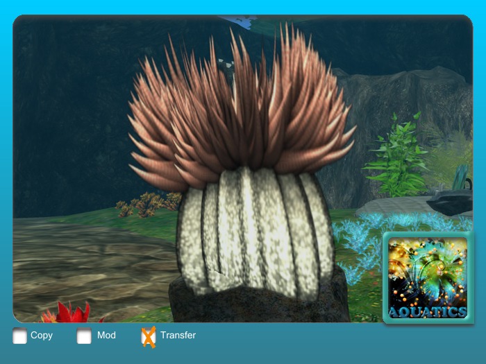 Anemone Flexi Pale Pink