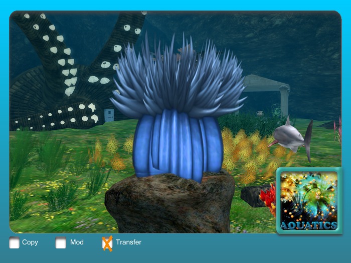 Anemone Flexi Blue Patience