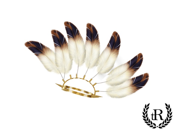 The Rove - Feathers headpiece indian