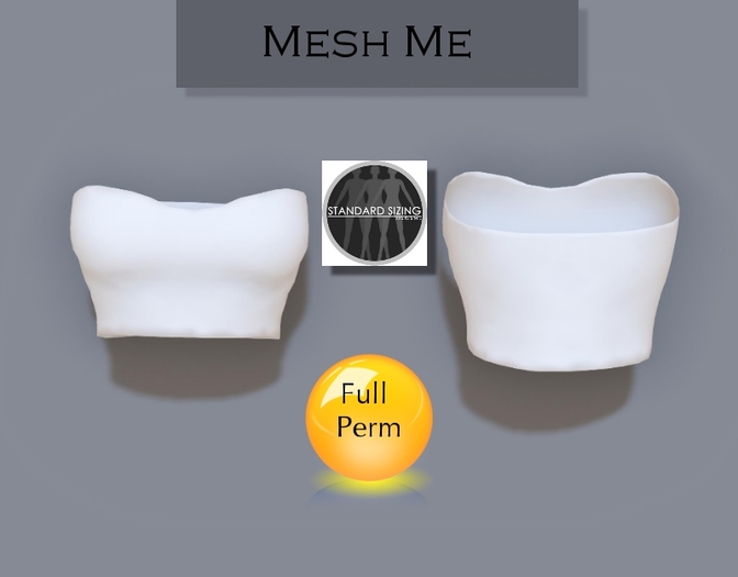 Mesh Me- Mesh Bustier Full Perm