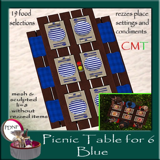 PDN: Picnic Table for 6 Blue boxed