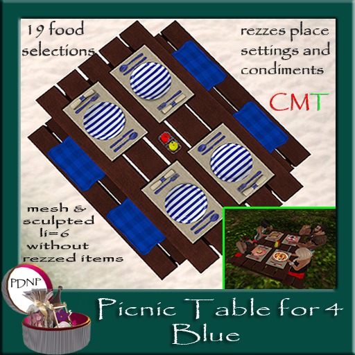 PDN: Picnic Table for 4 Blue boxed