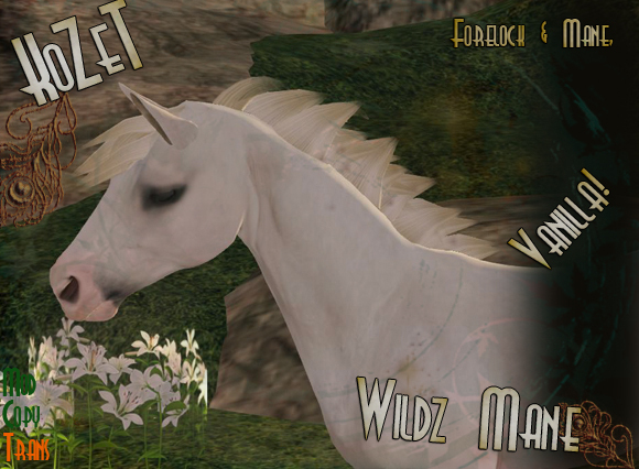 <K> Wildz Mane Set 