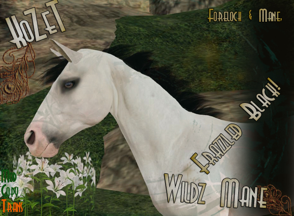 <K> Wildz Mane Set Black Frazzled