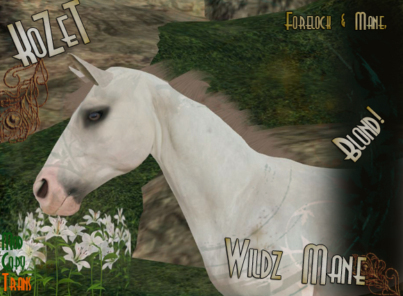 <K> Wildz Mane Set 