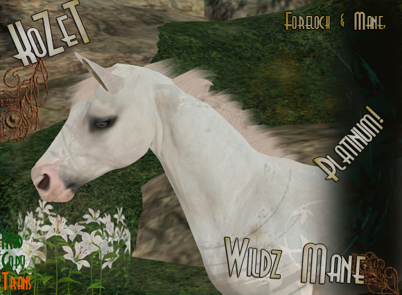 <K> Wildz Mane Set 