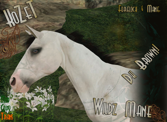 <K> Wildz Mane Set Dark Brown