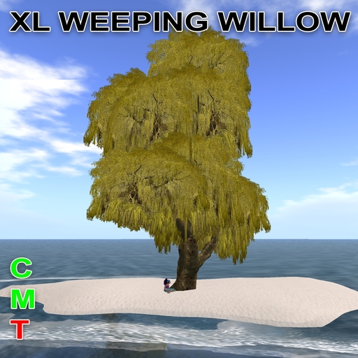 GuTi 10 Prim XL yellow weeping willow Trauerweide