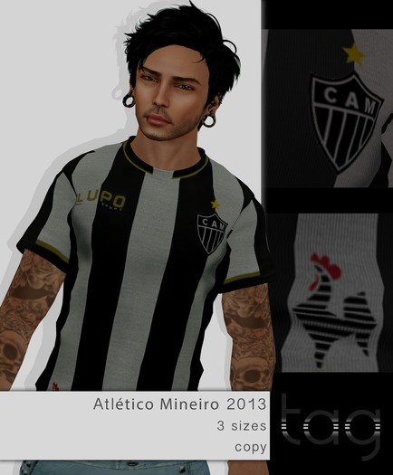 Tag. [Atletico Mineiro 2013]
