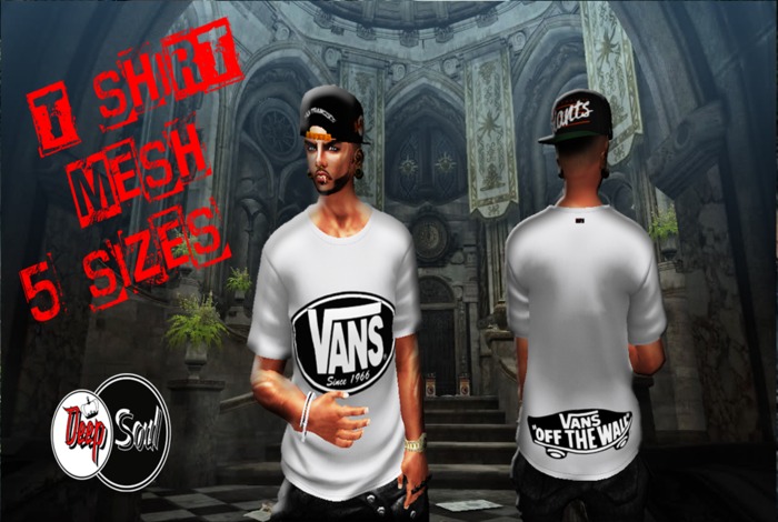 D.S T-SHIRT VANS