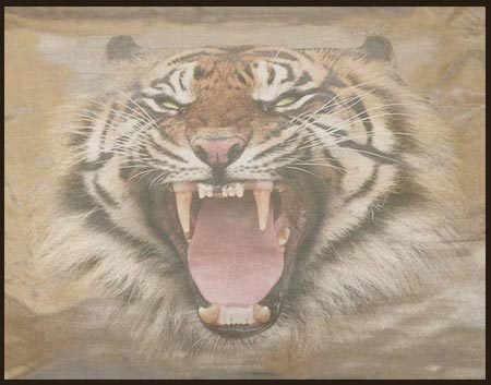 CaraZhan Creations TIGER RUG (Boxed )