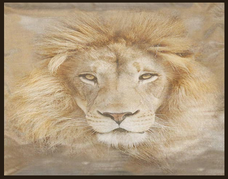 CaraZhan Creations LION  RUG (Boxed )