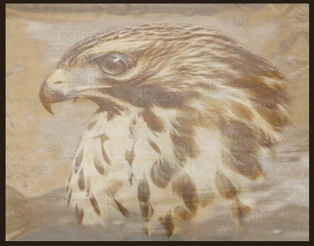 CaraZhan Creations HAWK 2 RUG (Boxed )