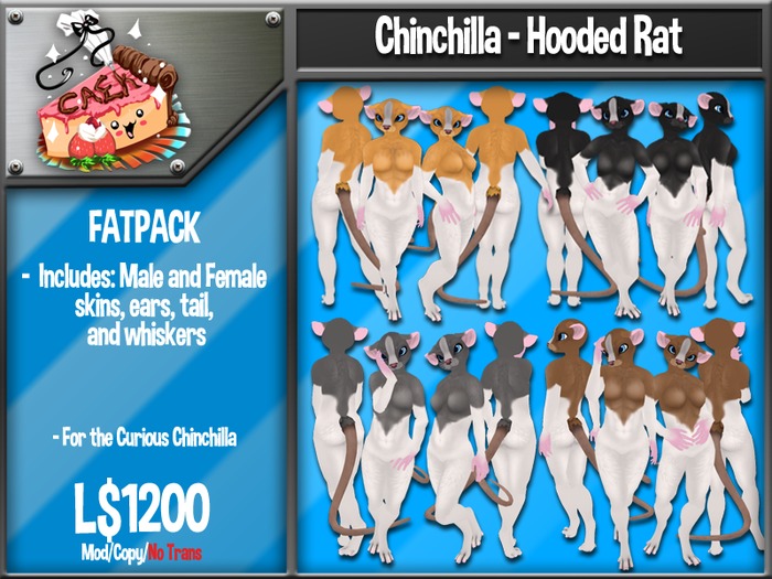 [CAEK!] - Chinchilla Shiba-Inu - Sesame - M/F