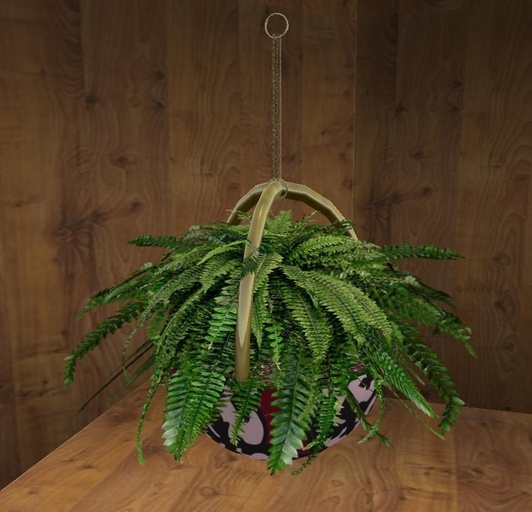 Hanging Fern in Gothic Revival Red Pot