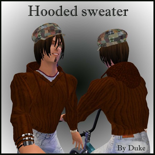 Hooded Sweater brown