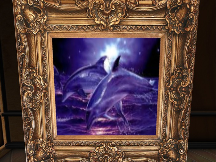 dolphins framed