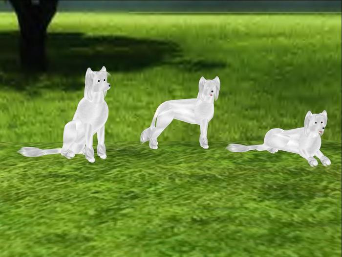 Chinese Crested Dog Scripted and Animated Dog
