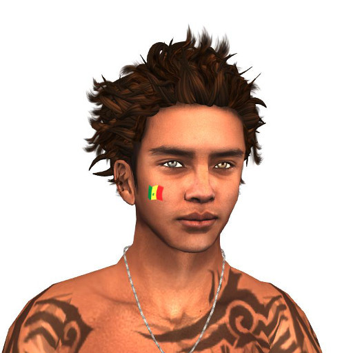 Senegal Flag Cheek Tattoo