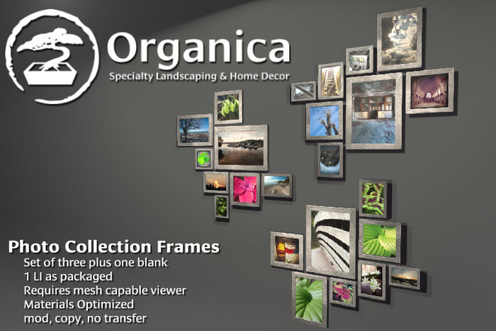 [ Organica ] Photo Collection Frames