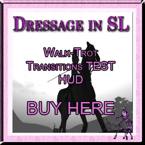 ~LP~ Dressage in SL: W-T Transition Test