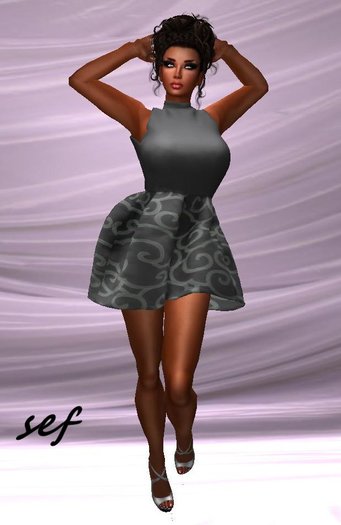 The Silver Lining S.E.F.