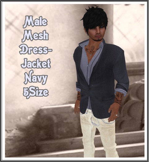 Mesh_Mens Jacket With Sleeves Navy