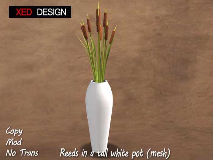 XD Reeds in a tall white pot (mesh) 